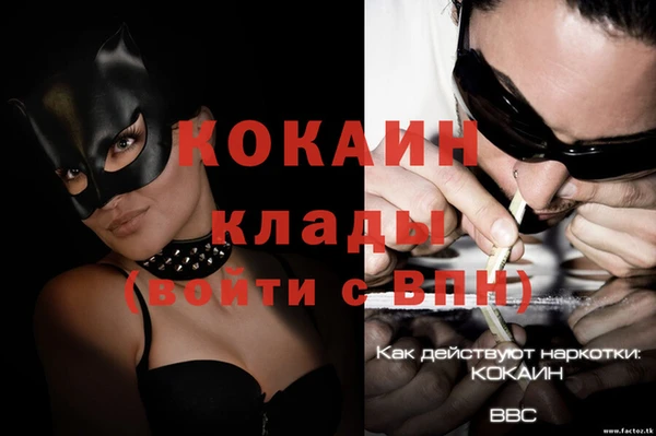 прущие грибы Армянск