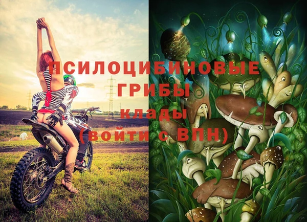 ешки Аркадак