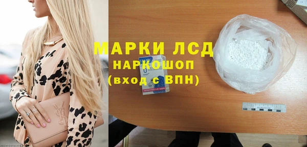 прущие грибы Армянск