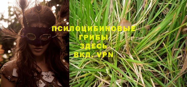 ешки Аркадак