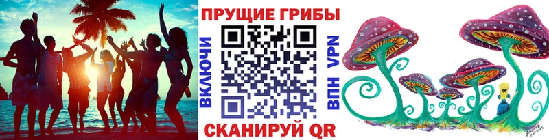 Галлюциногенные грибы GOLDEN TEACHER  Купить  Томилино 