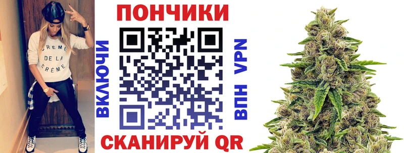 Купить закладки  Томилино  Марихуана сатива 